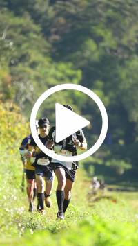 BIB:  <button type="button" onclick="openModal(26572908)" class="btn btn-primary btn-sm float-right" data-toggle="modal" data-target=".modal-high-quality">
                <i class="fa fa-download"></i> Download
                </button>